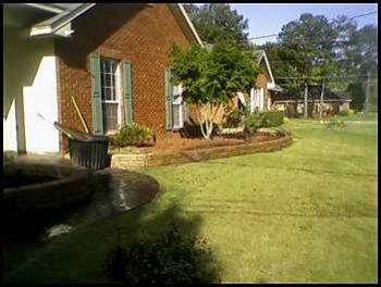 steph9616 profile photo