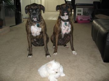 K-Town™ profile photo