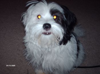 kmckee profile photo