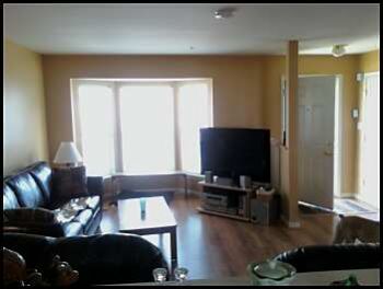 emailsac profile photo