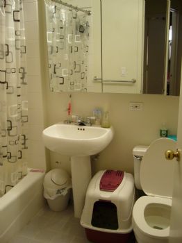 tracyb profile photo