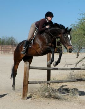 jewelsiebear profile photo