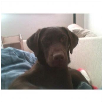 memefly profile photo