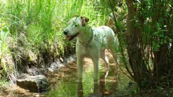 calindax profile photo