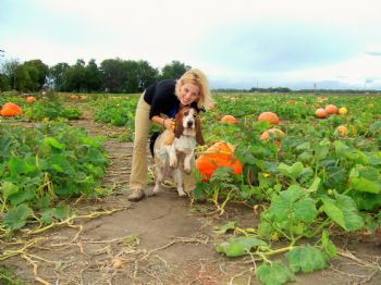 Snm-2008 profile photo