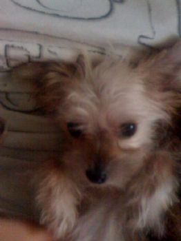 Agilbster020 profile photo