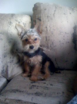 Agilbster020 profile photo