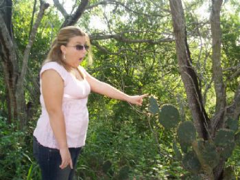 twill3 profile photo