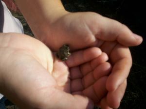 twill3 profile photo