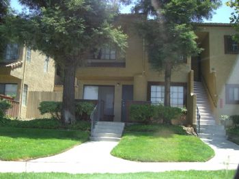 RosieWhite profile photo