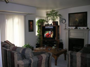 souldreams profile photo