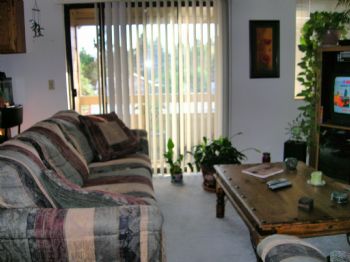 souldreams profile photo