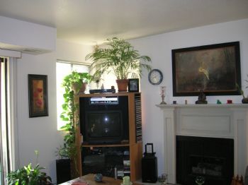 souldreams profile photo