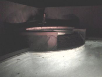 tnista profile photo