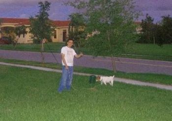 Undisputed profile photo