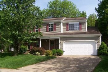 clluc99 profile photo