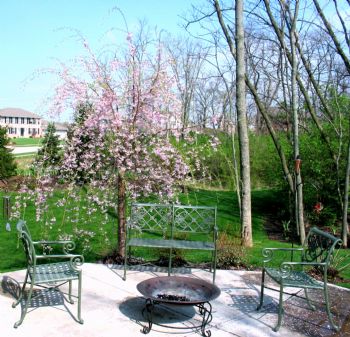 eagle1239 profile photo