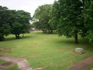 ashleyfox profile photo