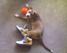 allie557 profile photo