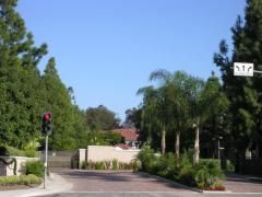 avag0420 profile photo