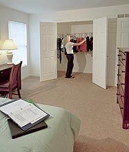 Dabella profile photo