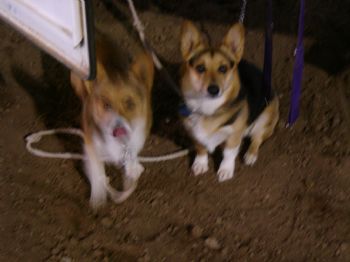 nicnmerc profile photo