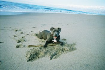 meSOgroOvy profile photo