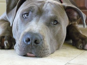 meSOgroOvy profile photo