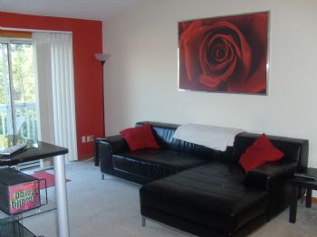 cvandyck01 profile photo