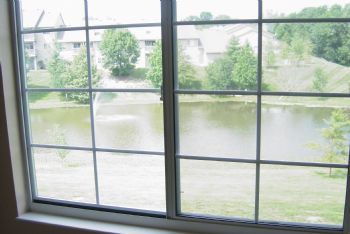 dougie3385 profile photo