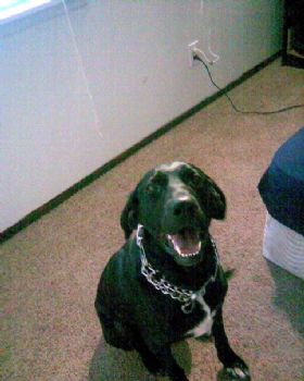 Solemn25 profile photo