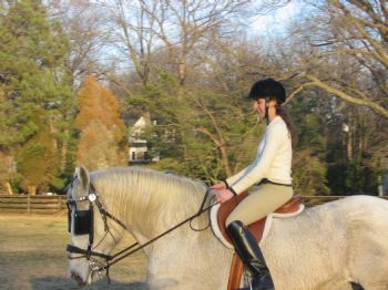 Scribble profile photo