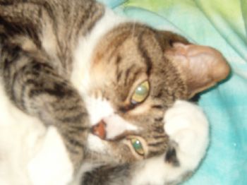debbieb3560 profile photo