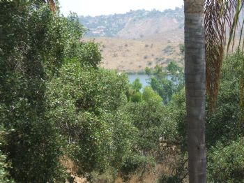 Brookie27 profile photo