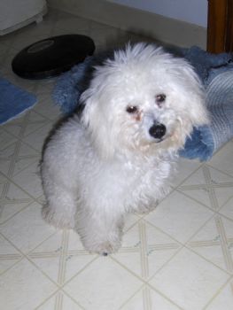 StephieJean profile photo