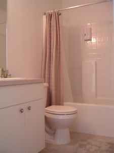 TempeRacerGu profile photo