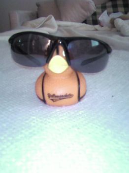 squirrel27 profile photo