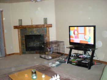 kcarterid profile photo