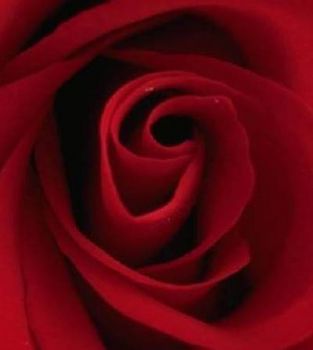 OctoEleventh profile photo