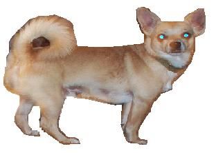 GibsonAll profile photo