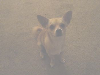 GibsonAll profile photo