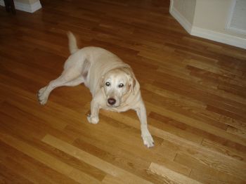 WendyLee profile photo