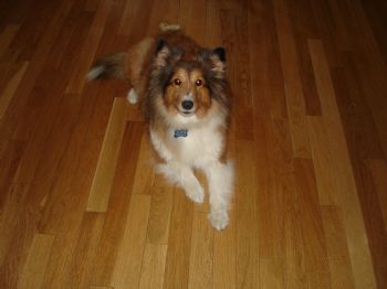 WendyLee profile photo