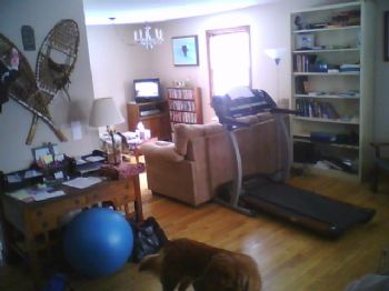 saabchick profile photo