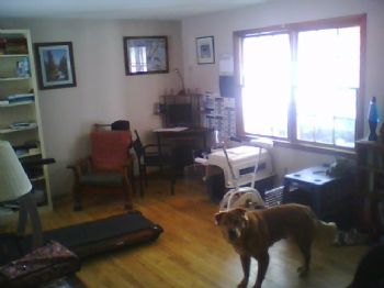 saabchick profile photo