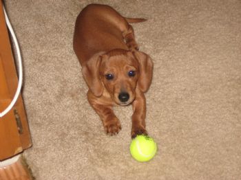 lindseyelias profile photo