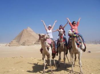 starcow7 profile photo