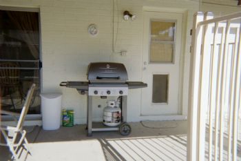 vickizona profile photo