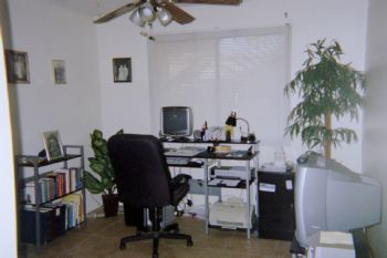 vickizona profile photo