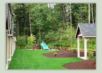 rachnlissa profile photo